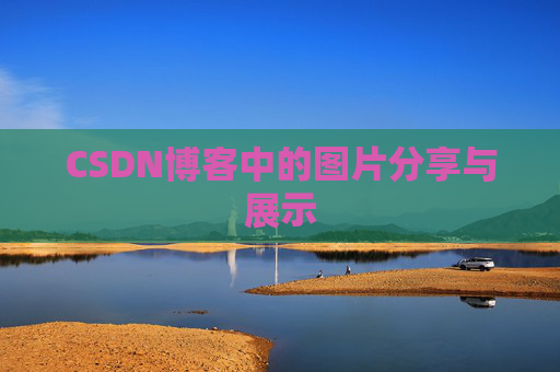 CSDN博客中的图片分享与展示